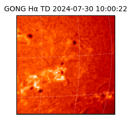 gong - 2024-07-30T10:00:22