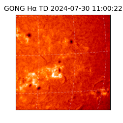 gong - 2024-07-30T11:00:22