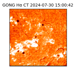 gong - 2024-07-30T15:00:42