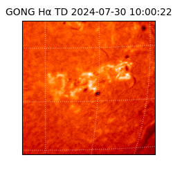 gong - 2024-07-30T10:00:22