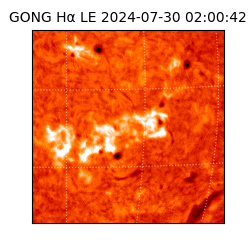 gong - 2024-07-30T02:00:42