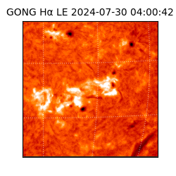 gong - 2024-07-30T04:00:42