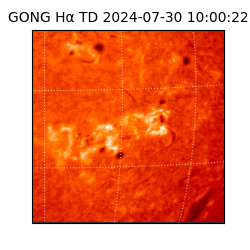 gong - 2024-07-30T10:00:22