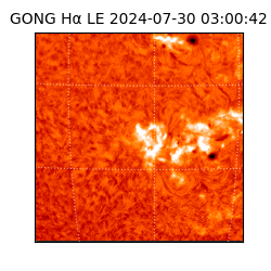 gong - 2024-07-30T03:00:42