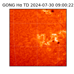 gong - 2024-07-30T09:00:22