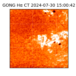 gong - 2024-07-30T15:00:42