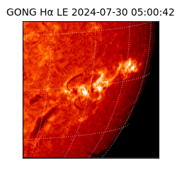 gong - 2024-07-30T05:00:42