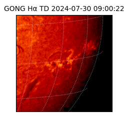 gong - 2024-07-30T09:00:22