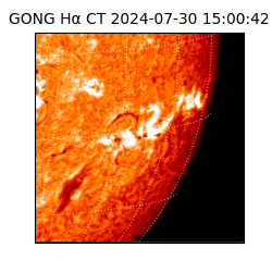 gong - 2024-07-30T15:00:42
