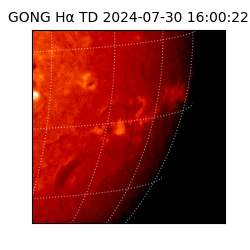 gong - 2024-07-30T16:00:22