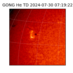 gong - 2024-07-30T07:19:22