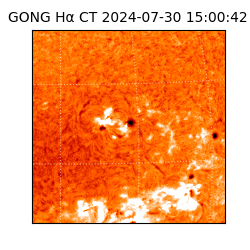 gong - 2024-07-30T15:00:42