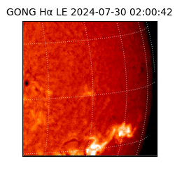 gong - 2024-07-30T02:00:42