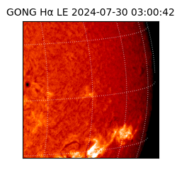 gong - 2024-07-30T03:00:42