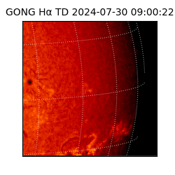 gong - 2024-07-30T09:00:22