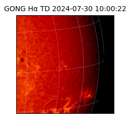 gong - 2024-07-30T10:00:22