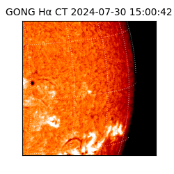 gong - 2024-07-30T15:00:42