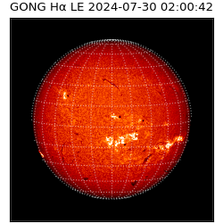 gong - 2024-07-30T02:00:42