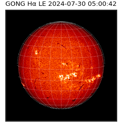 gong - 2024-07-30T05:00:42