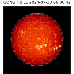 gong - 2024-07-30T06:00:42