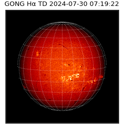 gong - 2024-07-30T07:19:22