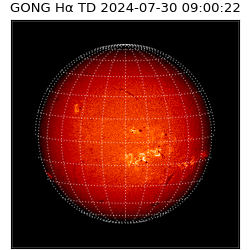 gong - 2024-07-30T09:00:22