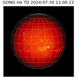 gong - 2024-07-30T11:00:22