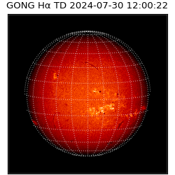 gong - 2024-07-30T12:00:22