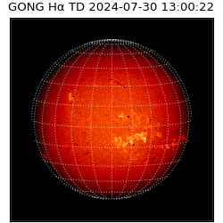 gong - 2024-07-30T13:00:22