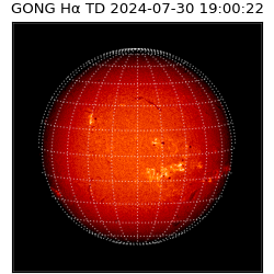 gong - 2024-07-30T19:00:22