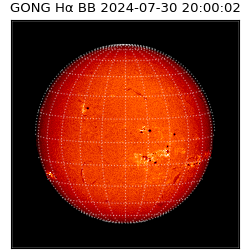 gong - 2024-07-30T20:00:02