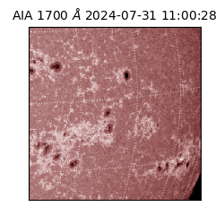 saia - 2024-07-31T11:00:28.733000