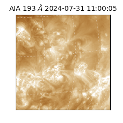 saia - 2024-07-31T11:00:05.627000