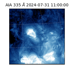 saia - 2024-07-31T11:00:00.625000