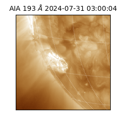 saia - 2024-07-31T03:00:04.846000