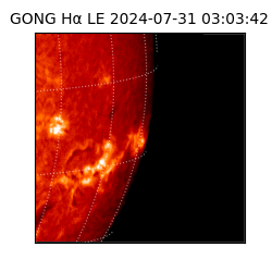 gong - 2024-07-31T03:03:42