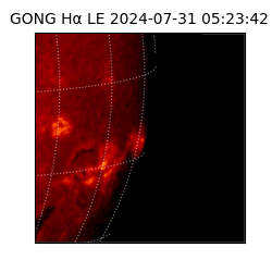 gong - 2024-07-31T05:23:42