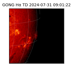 gong - 2024-07-31T09:01:22