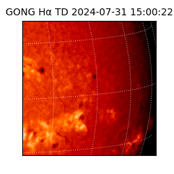 gong - 2024-07-31T15:00:22