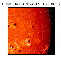 gong - 2024-07-31T21:00:02