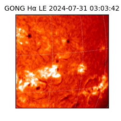 gong - 2024-07-31T03:03:42