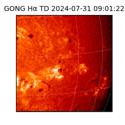 gong - 2024-07-31T09:01:22