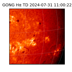 gong - 2024-07-31T11:00:22