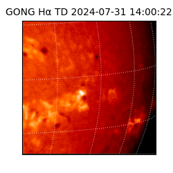 gong - 2024-07-31T14:00:22