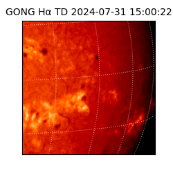 gong - 2024-07-31T15:00:22