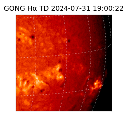 gong - 2024-07-31T19:00:22