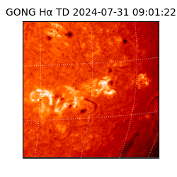 gong - 2024-07-31T09:01:22