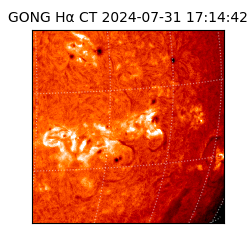 gong - 2024-07-31T17:14:42