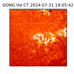 gong - 2024-07-31T18:05:42