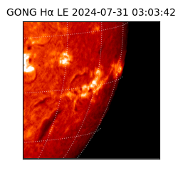 gong - 2024-07-31T03:03:42